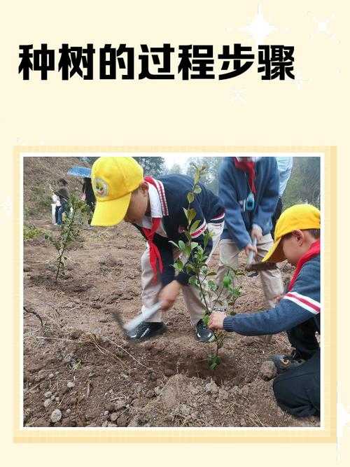 文明与征服春日植树究竟在哪？植树节活动怎么玩好之余资源还得管？